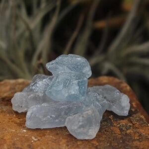Raw Blue Celestite Chips 100g